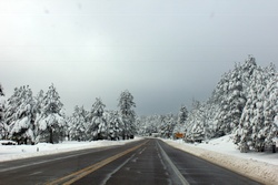 Flagstaff