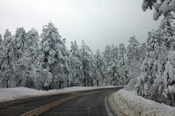 Flagstaff