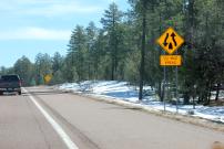 Payson-Showlow Loop