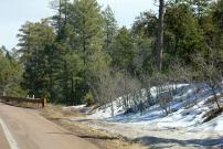 Payson-Showlow Loop