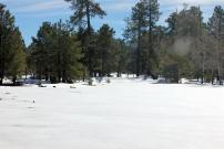 Payson-Showlow Loop