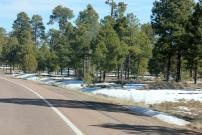 Payson-Showlow Loop