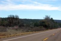 Payson-Showlow Loop