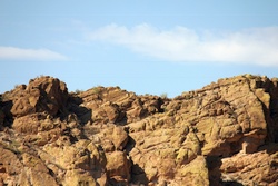 saguaro lake