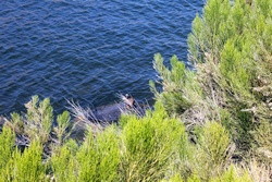 saguaro lake