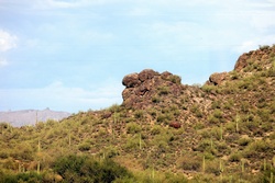 saguaro lake