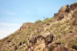 saguaro lake