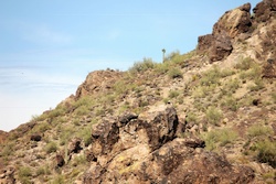 saguaro lake