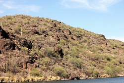 saguaro lake