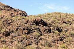 saguaro lake