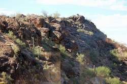 saguaro lake