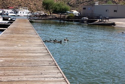 saguaro lake