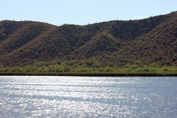 saguaro lake