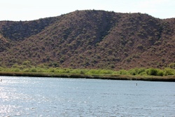 saguaro lake