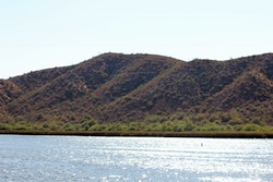 saguaro lake