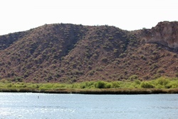 saguaro lake