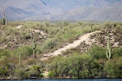 saguaro lake