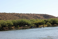 saguaro lake