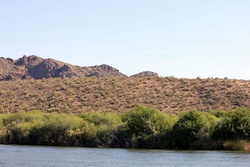 saguaro lake